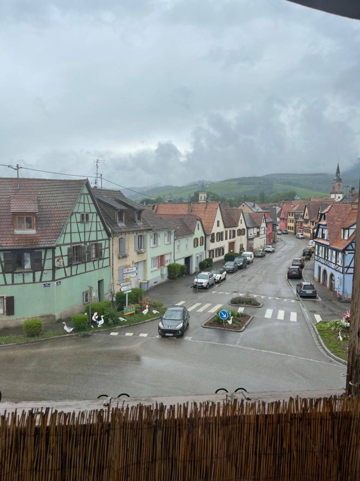 Appartement Centre Alsace Gertwiller Ngoại thất bức ảnh